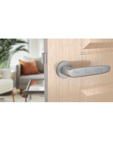 Maniglia per porta cromata satinata ROSA maniglia design vista frontale montata su una porta