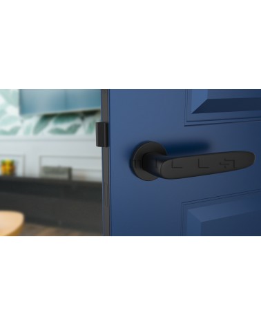 Maniglia per porta nera ROSA maniglia design vista frontale montata su una porta