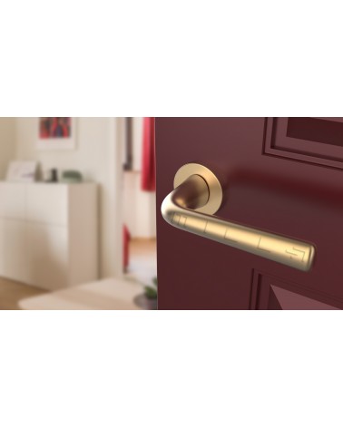Maniglia per porta Oro opaco TULIPA porta interna design vista inclinata montata su una porta