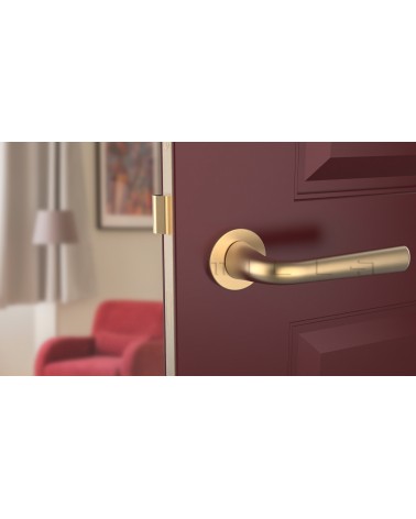Maniglia per porta Oro opaco TULIPA porta interna design vista frontale montata su una porta