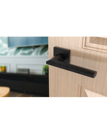 Maniglia per porta nera JASMINA maniglia design vista inclinata montata su una porta