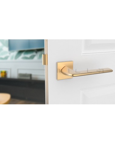 Maniglia per porta oro opaco LILA maniglia design vista frontale montata su una porta