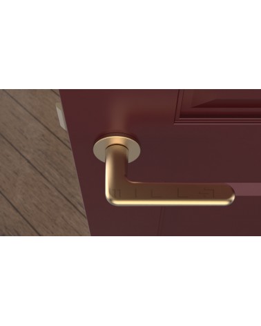 Maniglia per porta LIRA in oro opaco design vista dall'alto montata su una porta