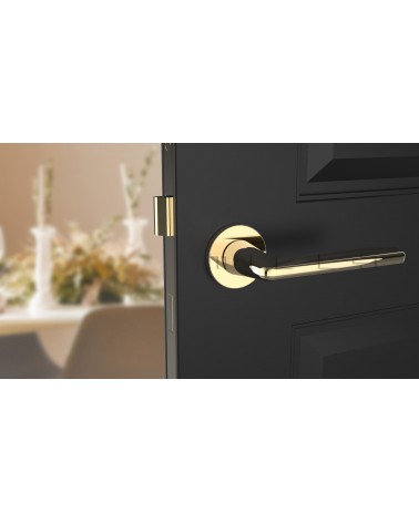 Maniglia per porta oro lucido LUNA maniglia design vista frontale montata su una porta