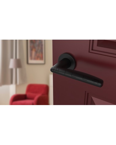 Maniglia per porta nera LUNA maniglia design vista inclinata montata su una porta