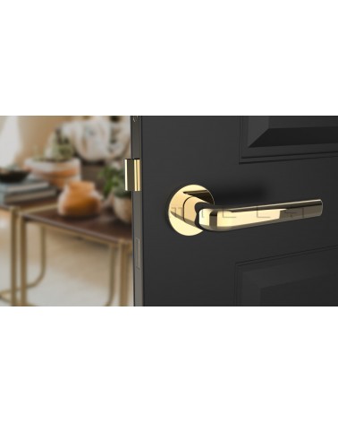 Maniglia per porta oro lucido INULLA maniglia design vista frontale montata su una porta