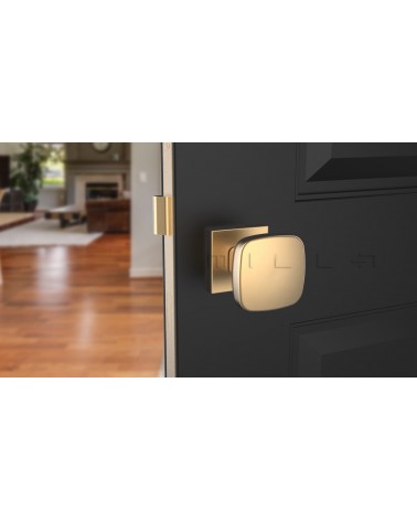 Pomolo per porta Oro opaco KIAMA quadrato - maniglia design