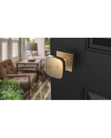 Pomolo per porta Oro opaco KIAMA quadrato - maniglia design