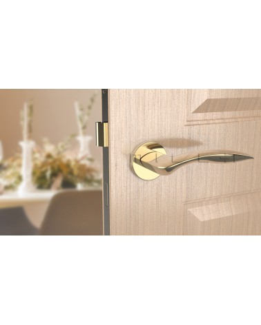 Maniglia per porta ROBINE maniglia design vista frontale montata su una porta