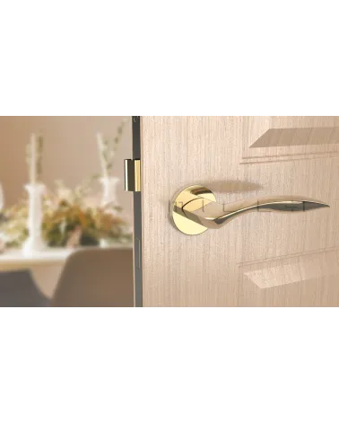 Maniglia per porta ROBINE ferramenta design colore 2 vista frontale montata su una porta