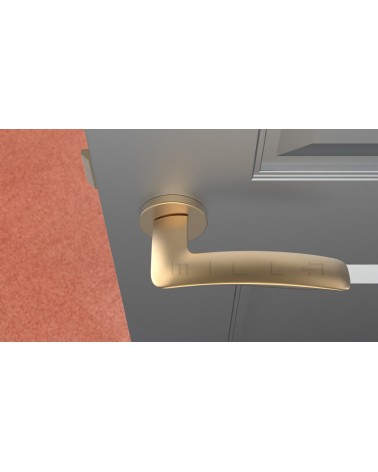 Maniglia per porta oro opaco ROBINE ferramenta design vista dall'alto montata su una porta