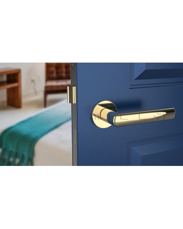 Maniglia per porta oro lucido SILENA ferramenta design vista frontale montata su una porta