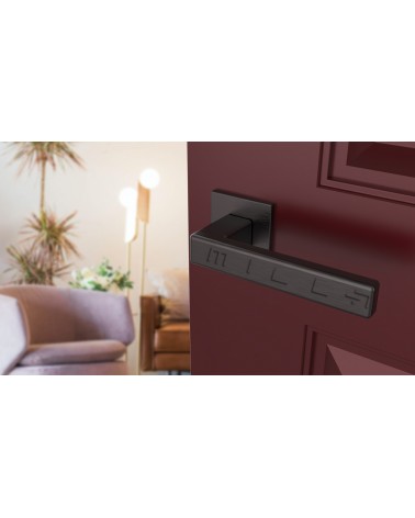 Maniglia per porta TILLIA porta interna design colore 2 vista inclinata montata su una porta