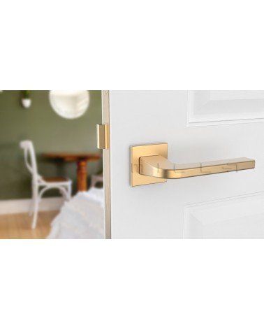 Maniglia per porta oro opaco ISMENA maniglia design montata su una porta