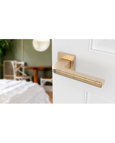 Maniglia per porta oro opaco ISMENA maniglia design montata su una porta socchiusa