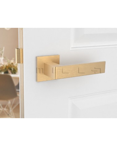 Maniglia porta oro opaco Apollo design vista frontale montata su una porta