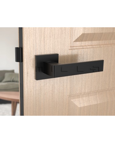 Maniglia per porta nera Apollo design vista frontale montata su una porta