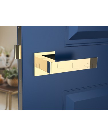 Maniglia per porta oro lucido Apollo design vista frontale montata su una porta
