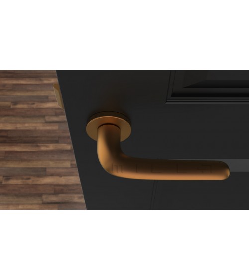 Maniglia per porta su placca rotonda AZALIA maniglia design colore 4