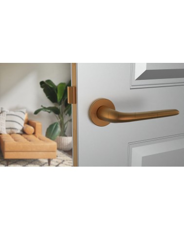 Maniglia per porta su placca rotonda AZALIA maniglia design colore 4 vista frontale montata su una porta