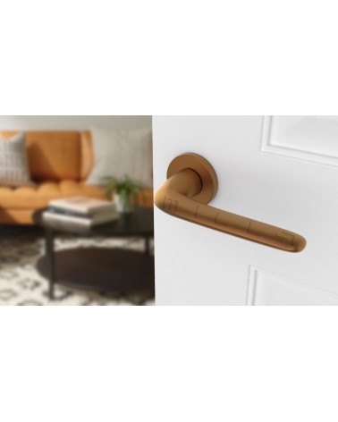 Maniglia per porta su placca rotonda AZALIA maniglia design colore 4 vista dall'alto inclinata montata su una porta