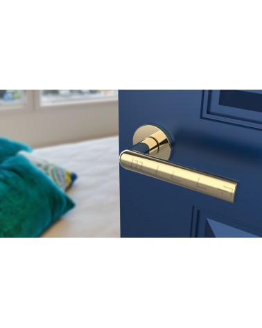 Maniglia per porta su rosetta rotonda SILENA maniglia design colore 3 vista frontale montata su una porta