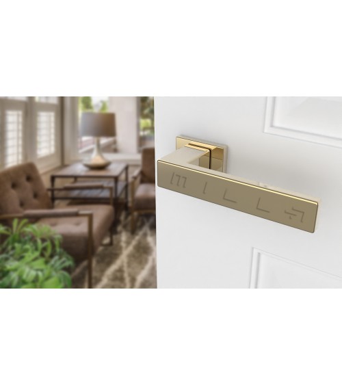 Maniglia per porta su placca rettangolare PINA maniglia design colore 3