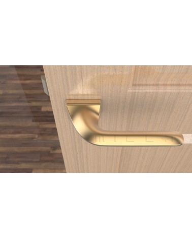 Maniglia per porta su placca rettangolare GLADIOLA maniglia design colore 4 vista dall'alto montata su una porta