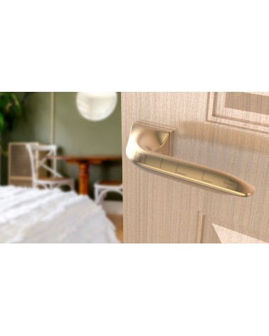 Maniglia per porta su placca rettangolare GLADIOLA maniglia design colore 4 vista dall'alto inclinata montata su una porta