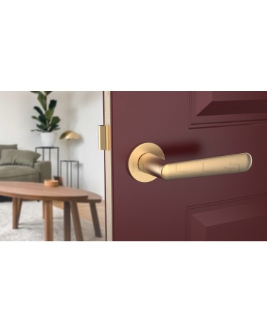 Maniglia per porta su placca rotonda ARIA maniglia design colore 2 vista frontale montata su una porta socchiusa