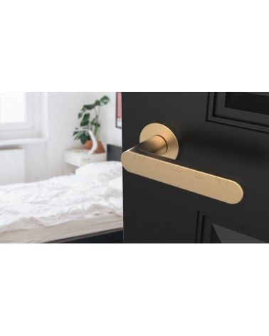 Maniglia per porta su placca rotonda ALORA design colore 1 vista dall'alto inclinata montata su una porta