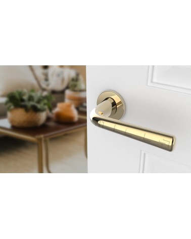 Maniglia per porta in zamak TULIPA design colore 2 vista dall'alto inclinata montata su una porta