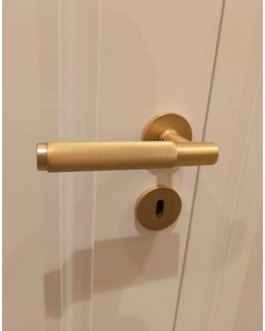 Maniglia per porta oro satinato Time Slim design montata su una porta vista frontale
