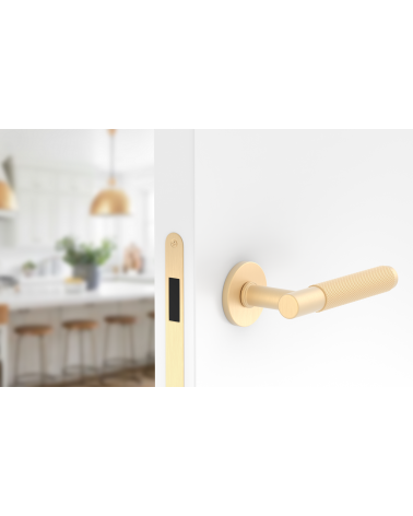 Maniglia per porta oro satinato Time Slim design montata su una porta
