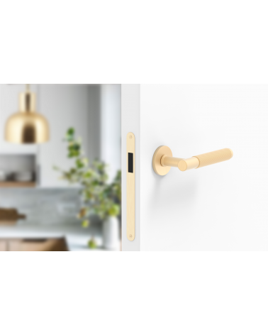 Maniglia per porta oro satinato Time Slim design montata su una porta socchiusa