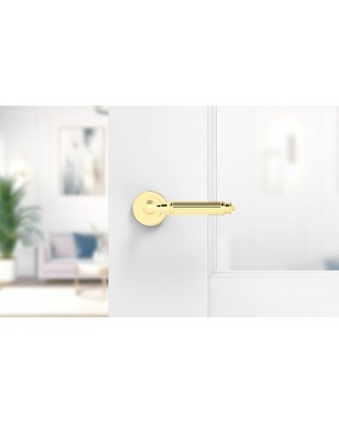 Maniglia per porta oro lucido ARIA Slim design montata su una porta