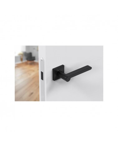 Maniglia per porta moderna Pandora maniglia design vista dall'alto inclinata montata su una porta