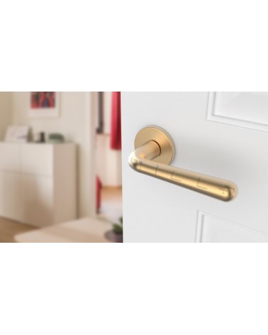 Maniglia per porta oro satinato IRGA maniglia design vista frontale montata su una porta
