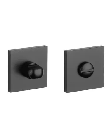 Rosetta AP Q WC - maniglia design