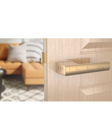 Maniglia per porta oro opaco BRISA maniglia design montata su una porta