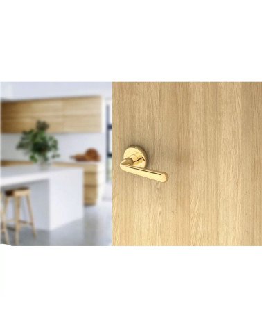 Maniglia per porta oro lucido HANDY maniglia design leggermente inclinata montata su una porta
