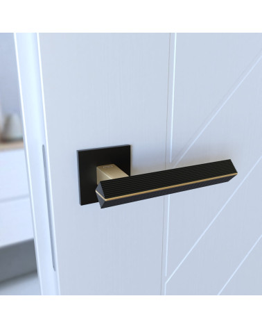 Maniglia per porta bicolore oro opaco/nero CARRERA maniglia design montata su una porta vista inclinata