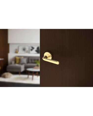 Maniglia porta retrò HANDY maniglia design montata su una porta socchiusa