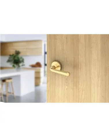 Maniglia porta retrò HANDY maniglia design leggermente inclinata montata su una porta