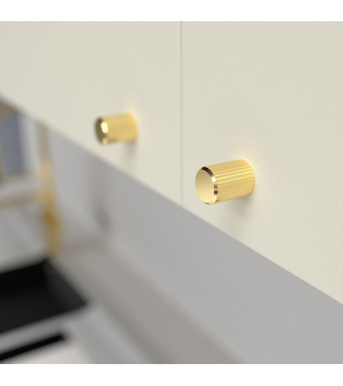 Pomolo per mobile oro lucido AVANTI maniglia design