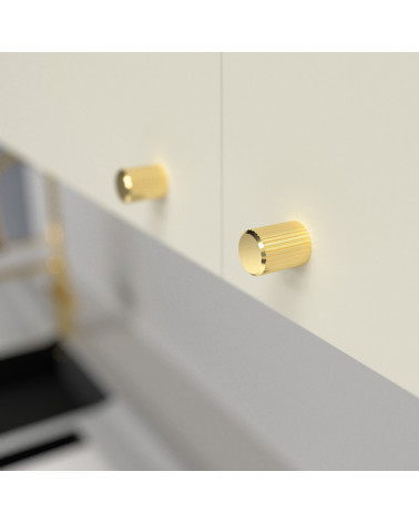 Pomolo per mobile oro lucido AVANTI maniglia design fissato su un mobile