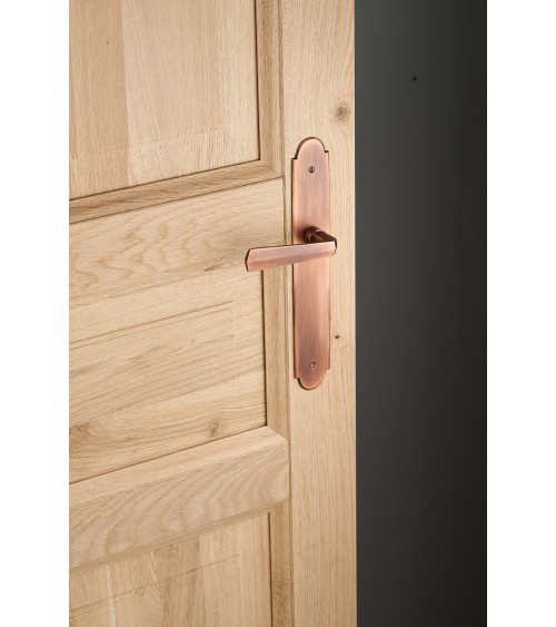 Maniglia per porta moderna su placca Ottone - MADE IN FRANCE - design