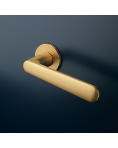 Maniglia per porta oro opaco ARIA design montata su una porta