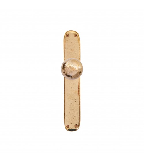 Pomello per porta in oro lucido su placca di pulizia P40 - maniglia design