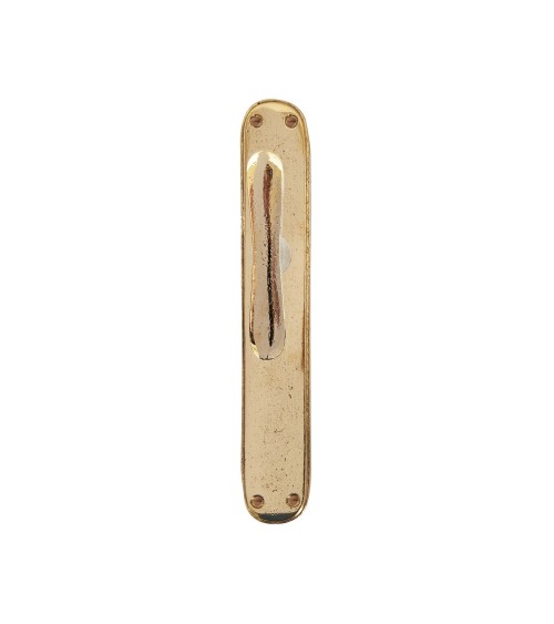 Maniglia per porta oro lucido su placca longitudinale originale PHTT 40 - maniglia design